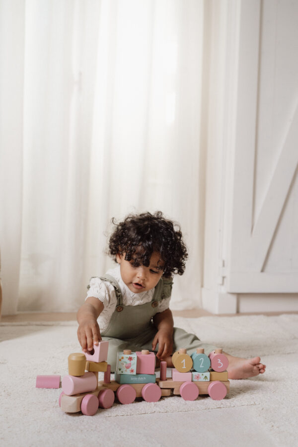 Stacking Train - Fairy Garden FSC